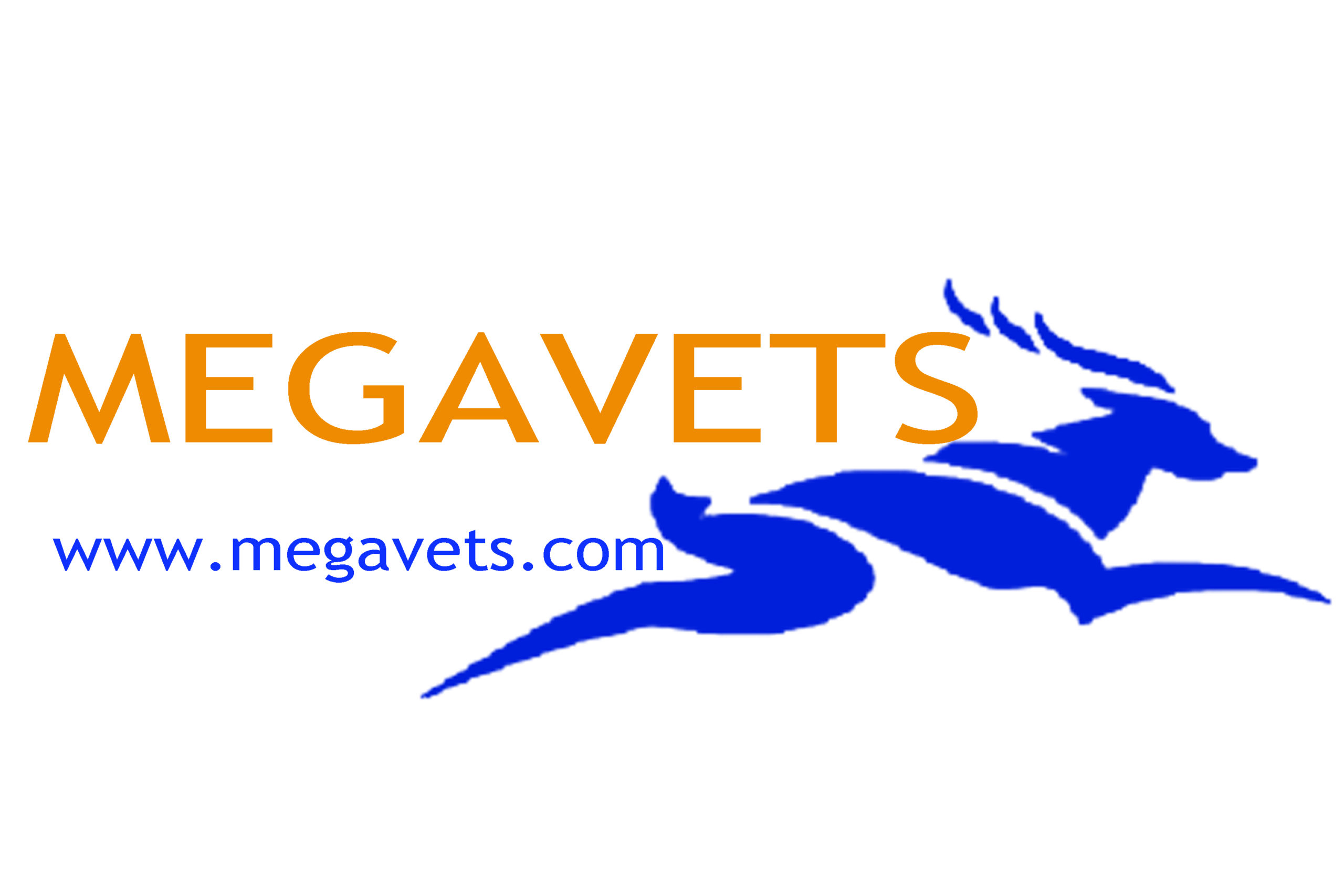 MEGAVETS LLC