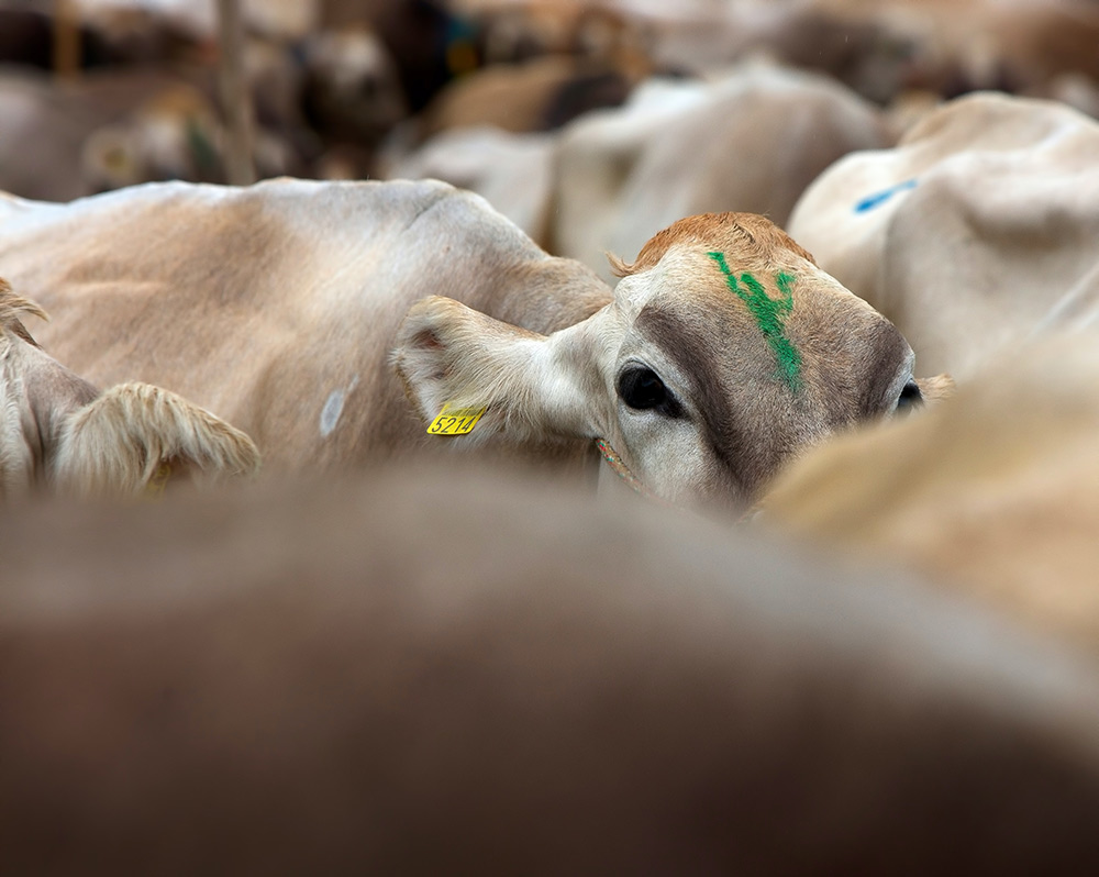 Get in touch with us